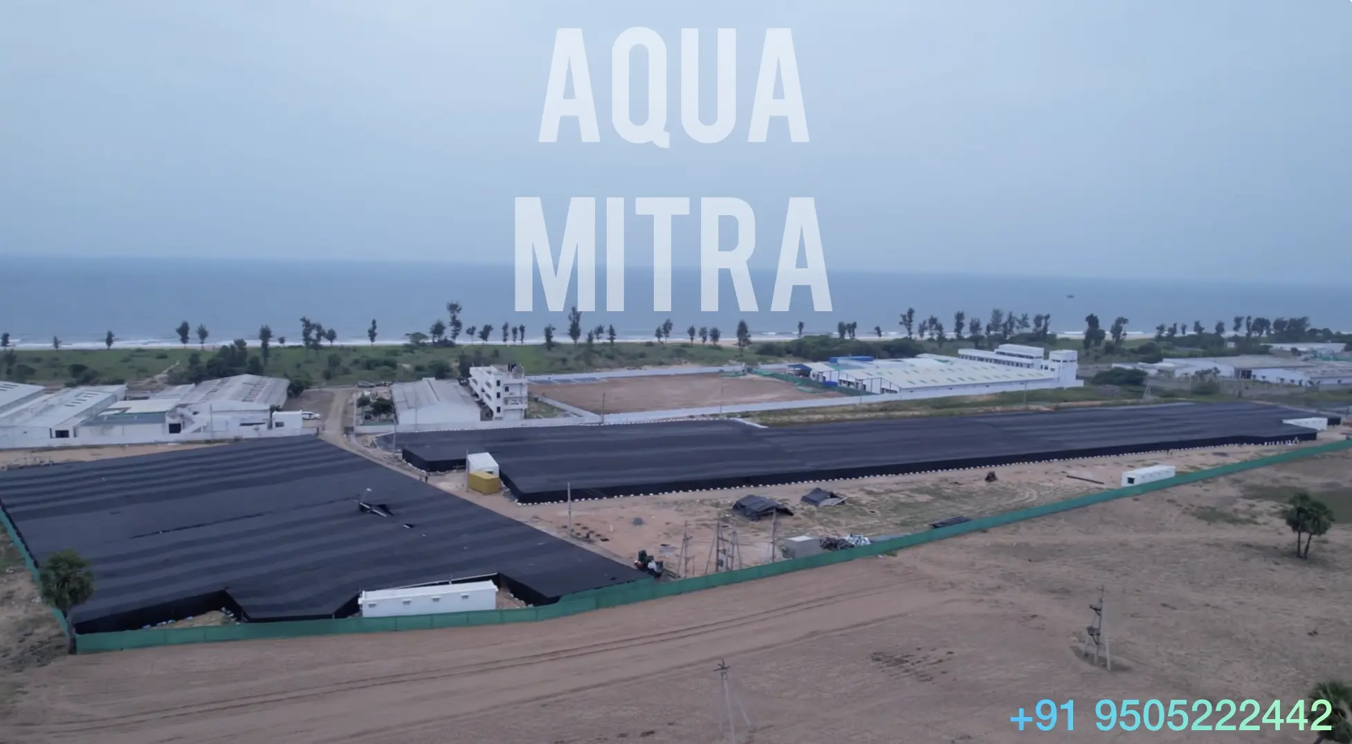 Shrimp Nursery