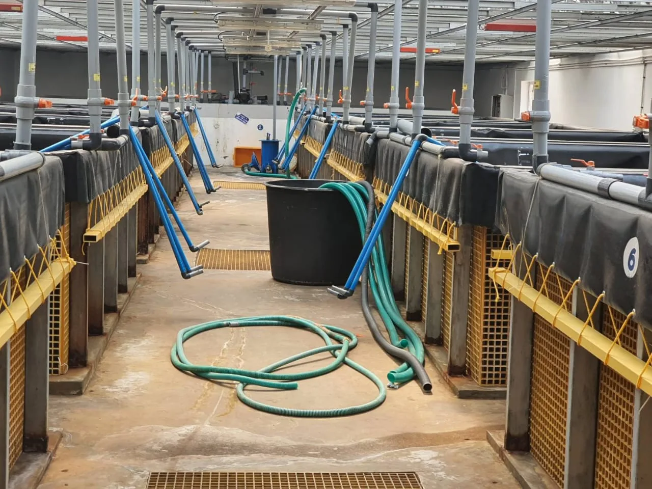 Hatchery Tanks