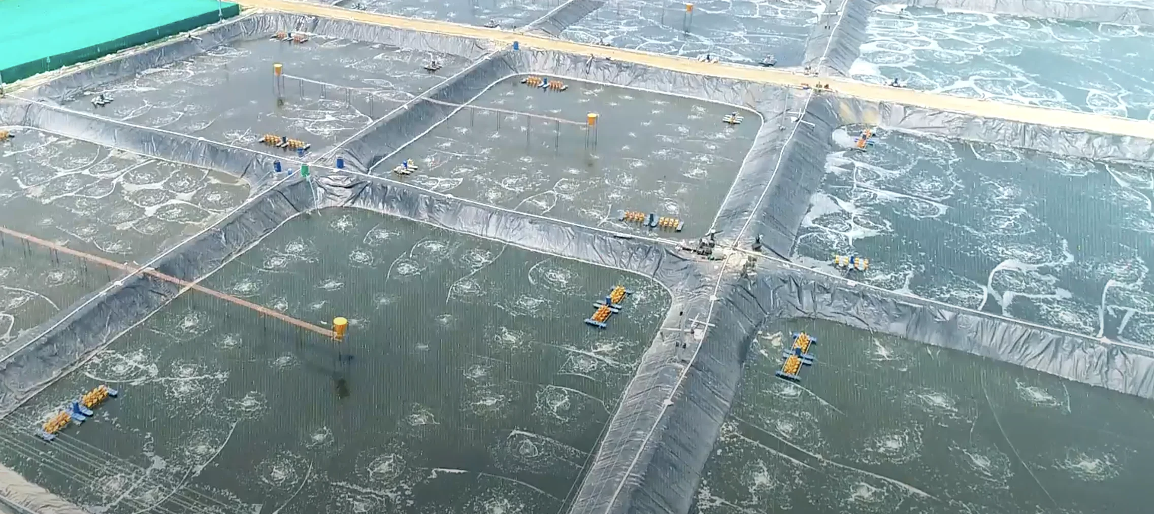 Biofloc Shrimp Ponds